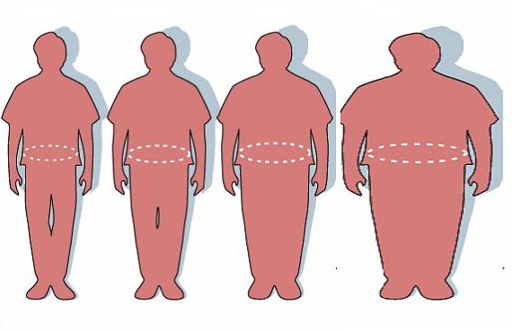 Satire obesity evolution 130338 o